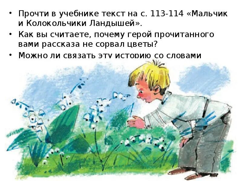 Читать герой старше. Мальчик и колокольчики ландышей в.Сухомлинский. Мальчик и колокольчики ландышей. Сказка Сухомлинского мальчик и колокольчики ландышей. Иллюстрация к сказке мальчики и колокольчики ландышей.