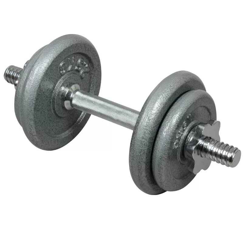 Гантель как пишется. Гантель разборная Lite Weights 3101cd 5 кг. Гантели Ларсен разборные. Штанга Ларсен разборная. Разборная штанга Reebok.