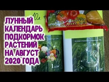 Лунный на август 2020