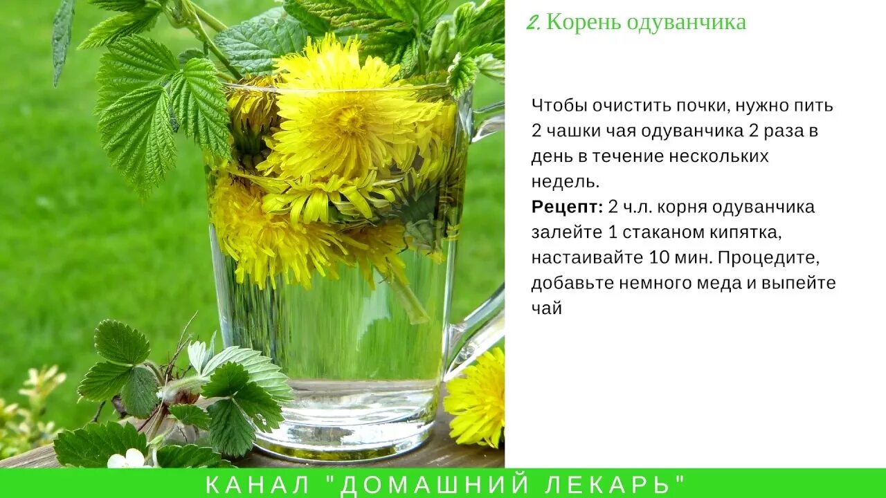 Одуванчик польза для человека отзывы. Чай из одуванчиков. Фито чай из одуванчиков. Корень одуванчика чай. Одуванчик чай из цветов.