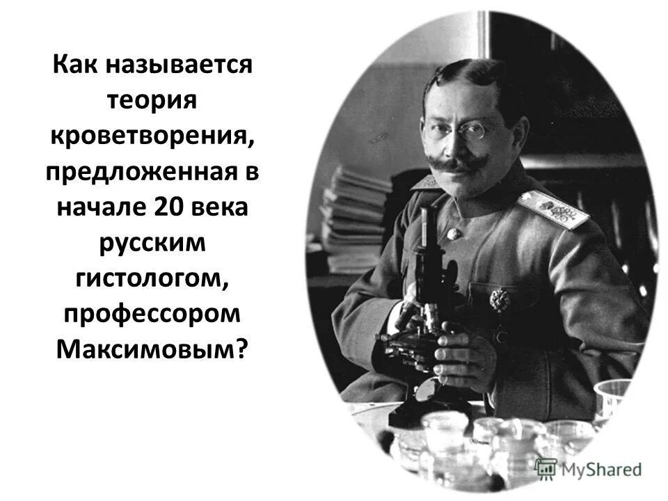 Александру александровичу максимову. А А Максимов гистолог.