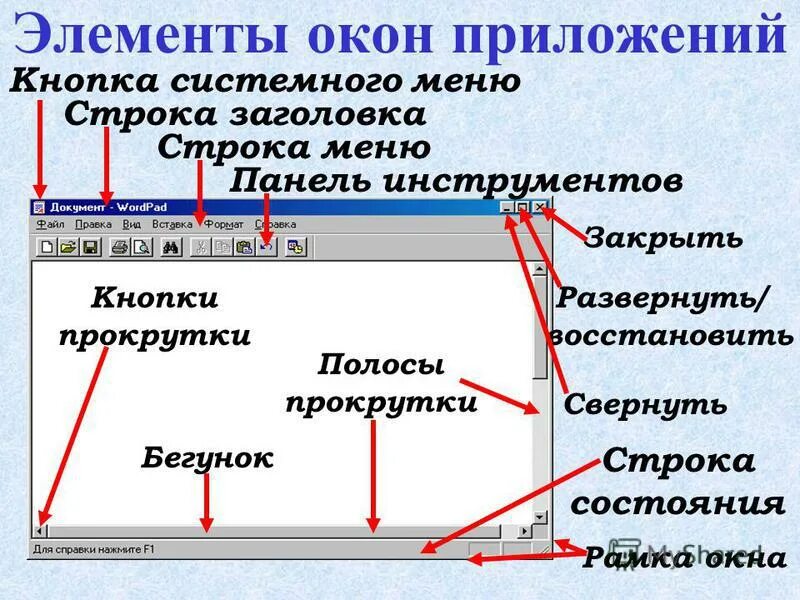 Элементы рабочего окна. Элементы диалоговых окон виндовс. Основные элементы окна приложения. Стандартные элементы окна. Перечислите элементы окна программы.