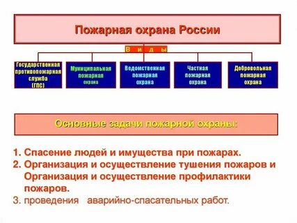 Пожарная охрана подразделяется на виды