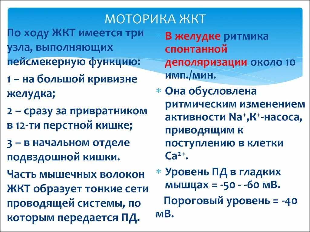 Типы моторики. Моторика пищеварительного тракта. Моторная функция различных отделов пищеварительного тракта. Виды моторики ЖКТ. Моторная функция желудка.