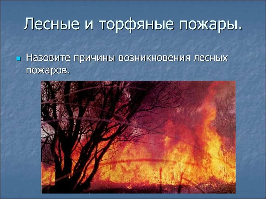 Лесные и торфяные пожары. Природные пожары опасные явления. Причины лесных и торфяных пожаров. Опасные природные явления ОБЖ.