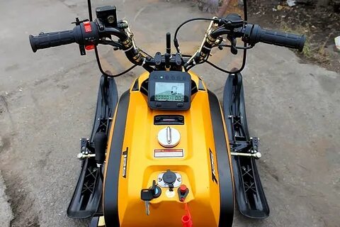 Dingo t125