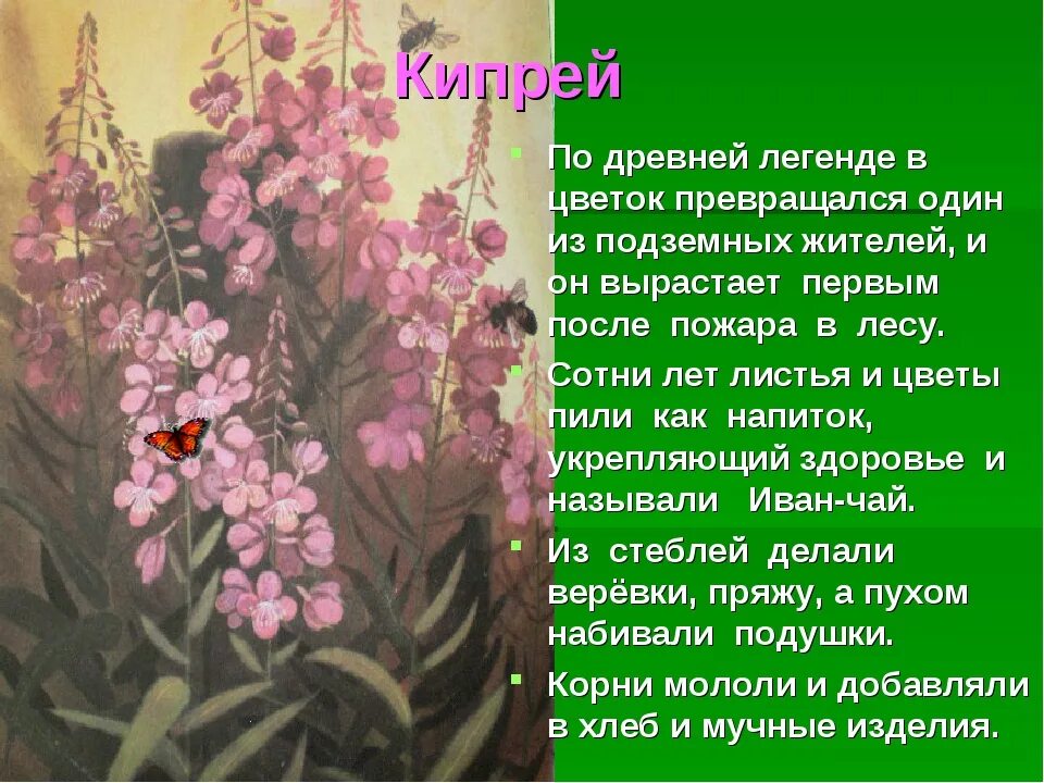 Легенды о растениях и животных. Легенды о цветах. легенды о растениях. легенды и сказки о цветах для детей. предание о растениях.