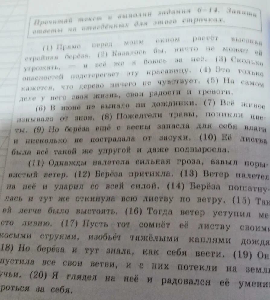 Определи и запиши основную мысль текста лебеди. Определи и запиши основную мысль текста. Что хотел сказать Автор читателю определи основную мысль текста. Основная мысль текста 4 класс ВПР. Определите основную мысль текста ВПР.