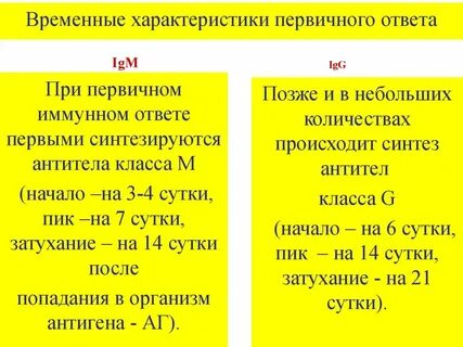 Авидность иммуноглобулинов