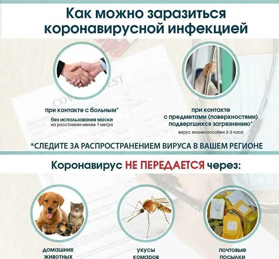 Как заболеть вирусом. Основные пути передачи коронавирусной инфекции. способы заражения коронавирусом. основные пути передачи новой коронавирусной инфекции. коронавирус пути передачи.