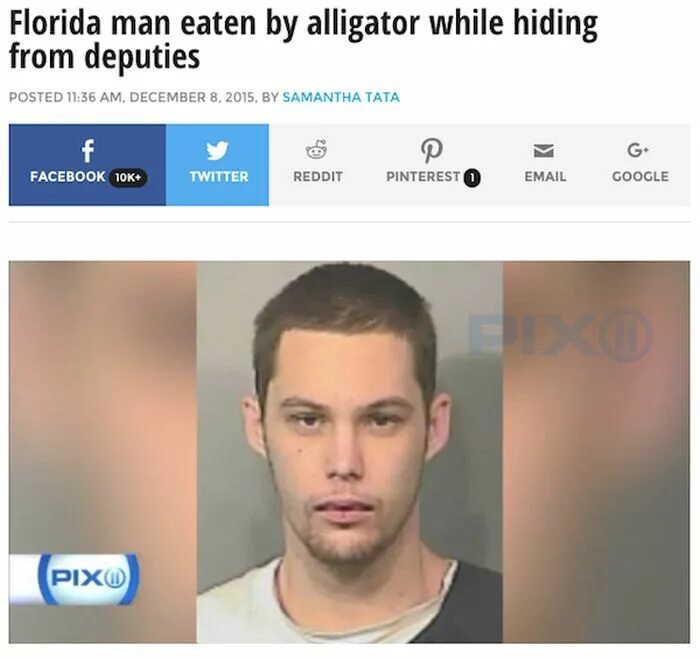 Florida man. Florida man December 5. Florida man 12 June.