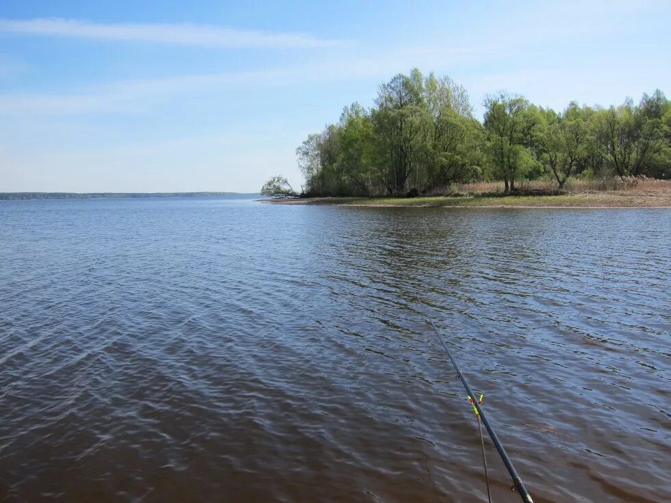 Московское море остров Могильный. Остров Могильный на Иваньковском водохранилище. Иваньковское водохранилище. Остров Могилевский Иваньковское водохранилище. Форум рыбака иваньковское водохранилище