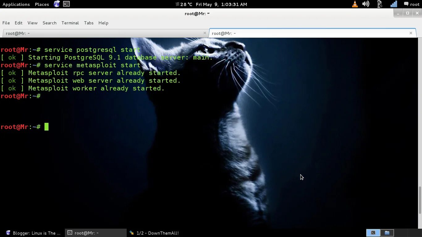Metasploit kali. Обои metasploit. metasploit framework kali. kali linux metasploit. metasploit web.