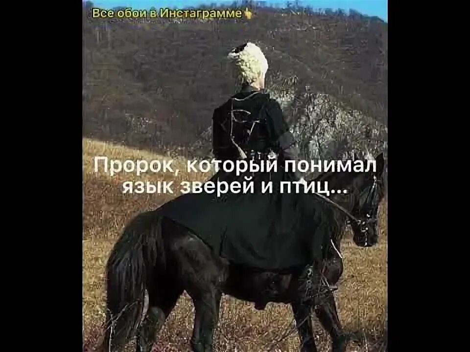 И не надо быть пророком чтобы понимать. И не надо быть пророком чтобы понимать