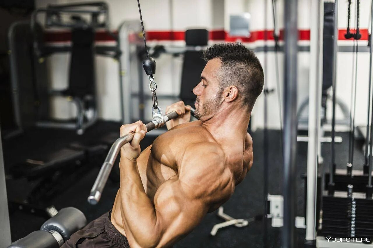 Тяга вертикального блока узким обратным хватом. Сведение в кроссовере снизу. Тяга снизу в кроссовере. Широкая накаченная спина. Тяга верхнего блока к груди обратным хватом.