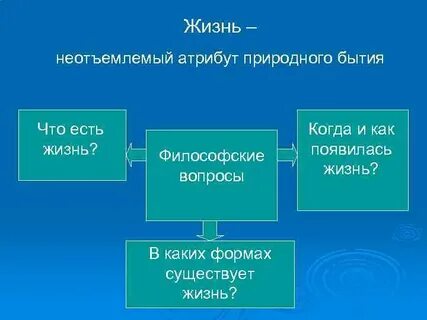 Атрибут в философии