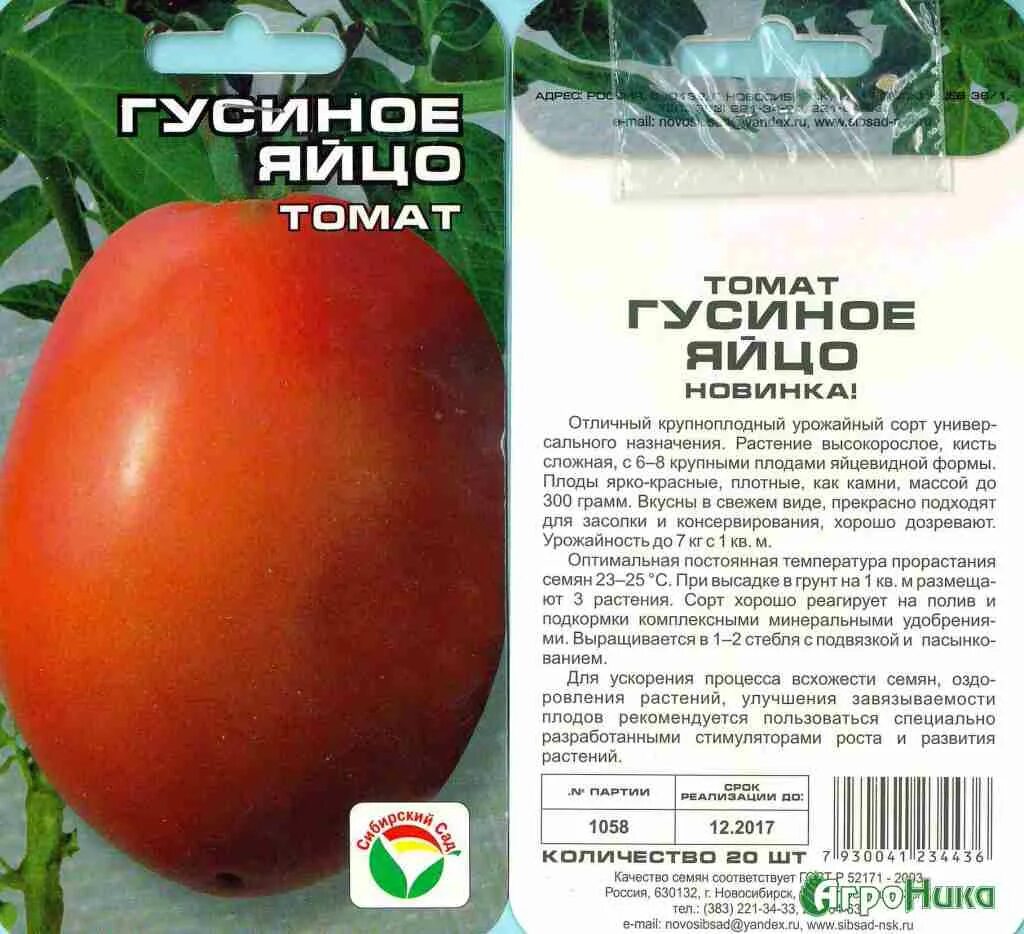 Характеристика сорта томатов золотое яйцо. Томат гусиное яйцо сиб сад. гусиное яйцо 20шт томат (сиб сад). томат сорт гусиное яйцо. сорт помидор пасхальное яйцо.