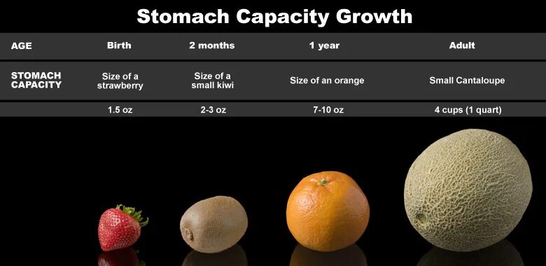 Age перевести. Capacity. Menbo capacity. Frunk capacity. Size of Oranges.