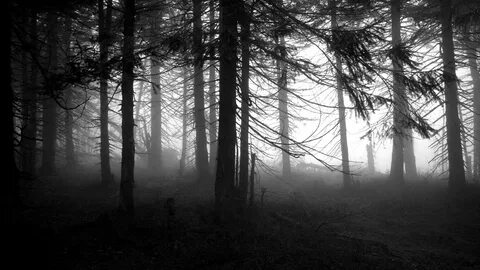 Scary dark