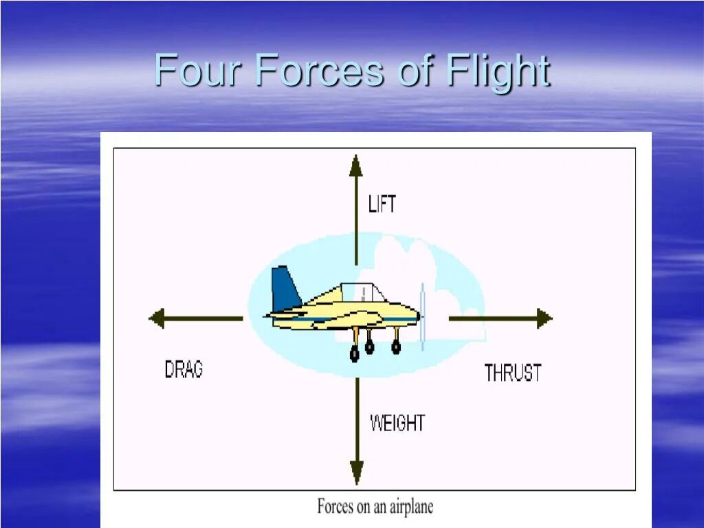 Four force. Lift force. French workforce in six sectors. 4 forces of flight. The four forces that act on an airplane.