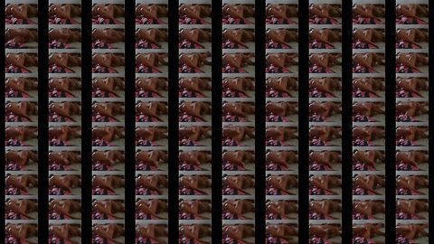 Madagascar spycam babysitter fuck in ass. Porno top image website.