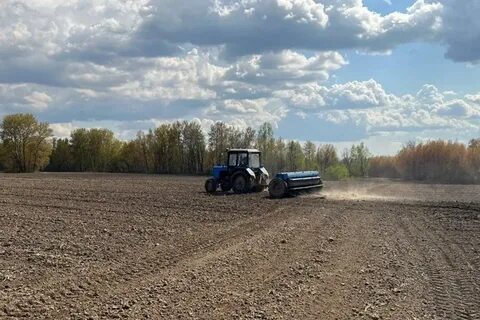 Сельское хозяйство хабаровского края