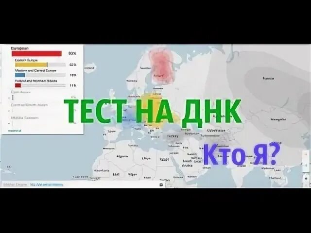 Днк тест на происхождение рода. ДНК тест на Национальность. Сколько стоит тест на определение национальности. Как выглядит тест ДНК на Национальность. Тест ДНК на Национальность кыргыз.