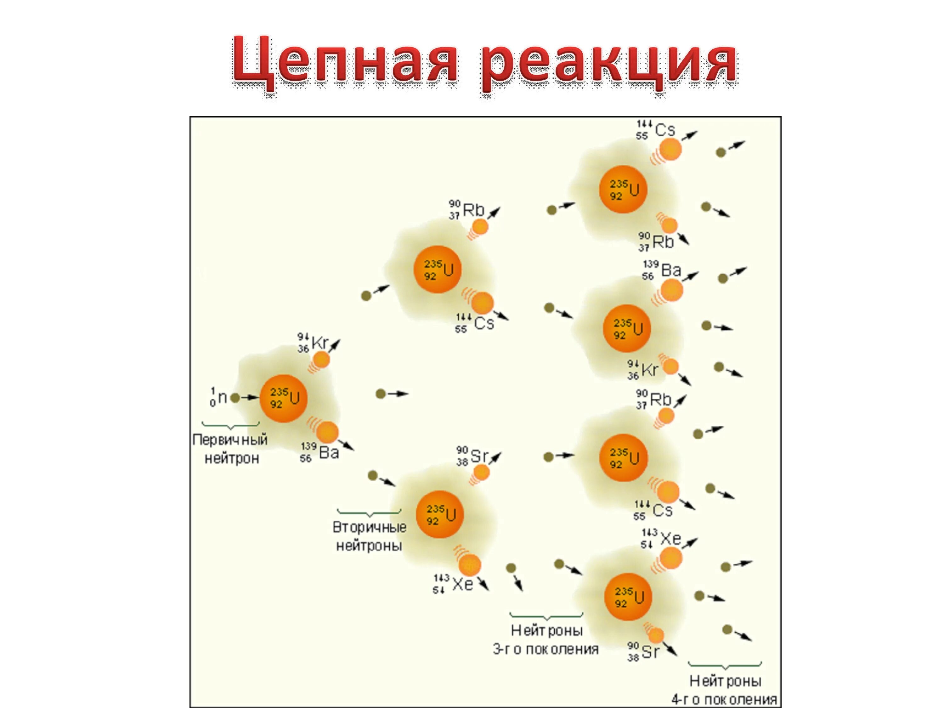 Распад развития. Схема цепной ядерной реакции урана. Схема цепной ядерной реакции деления. Цепная реакция деления в ядерном реакторе. Схема протекания цепной ядерной реакции.