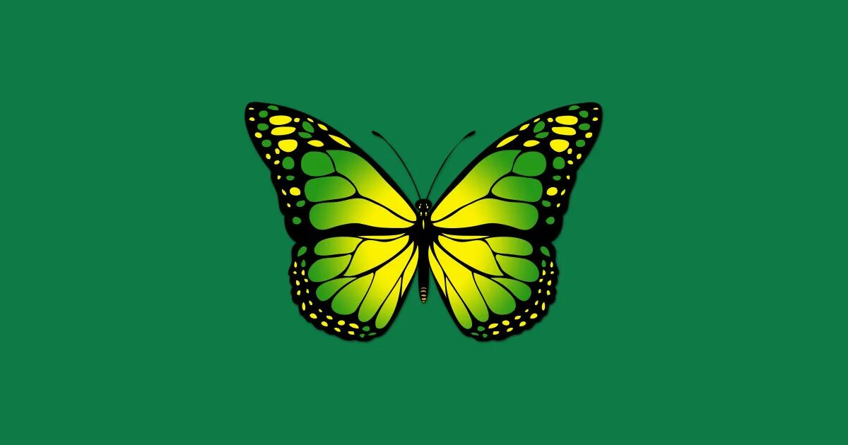 Черно зеленые бабочки. Зеленая бабочка. Бабочка вектор. Бабочка зеленая вектор. Зеленая бабочка рисунок.