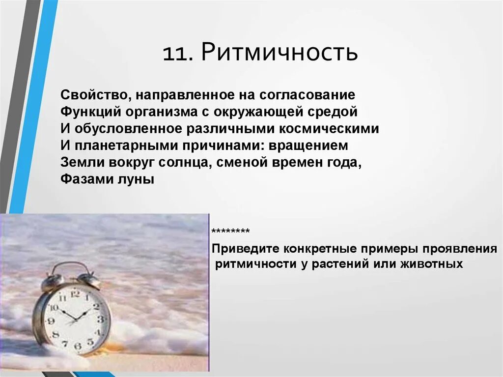 Ритмичность. Ритмичность в биологии примеры. ритмичность действий. определение ритмичность. ритмичность характеристика.