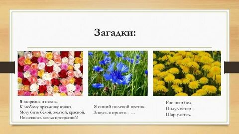 Рос шар бел дунул загадка