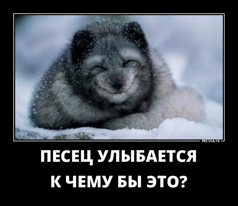 Незаметно прийти. Стихотворение орлову воробей загрустил за окошком непривычно. Кирдык пришел. Если бы не ты стихи. Случайные люди дверью не ошибаются.