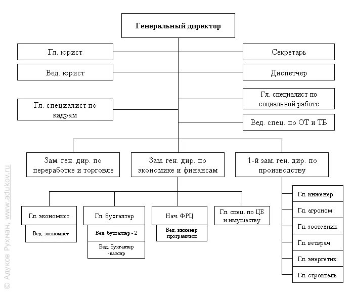 Организационная структура сельхозпредприятия схема. Организационная структура СХ предприятия схема. Организационная структура Агрофирмы схема. Структурная схема сельскохозяйственного предприятия. Органы управления сельским хозяйством