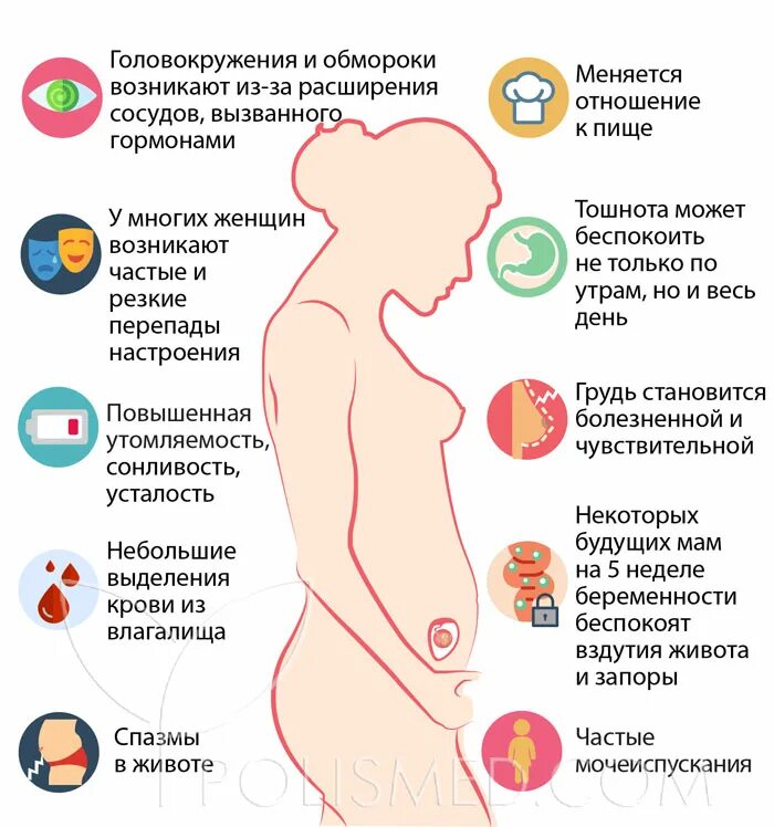 Первые симптомы беременности. Проявление беременности. Признаки беременности. Неделя беременности симптомы. 5 недель тошнота