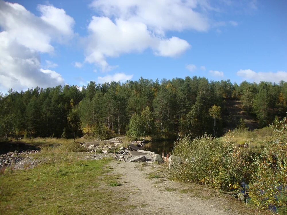 рп5 пушной карелия