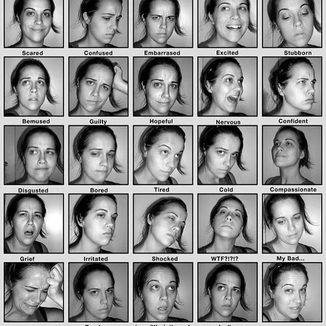 Expression reference