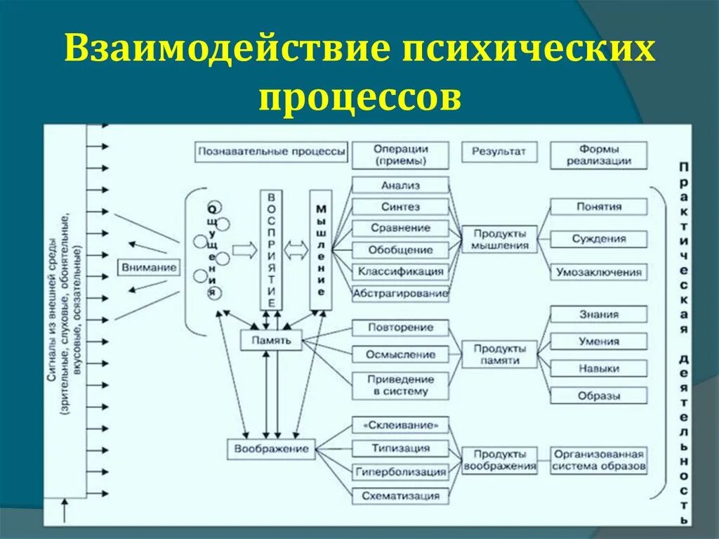 Взаимодействие функции и формы. Взаимосвязь психических познавательных процессов. Познавательные процессы в психологии схема. Познавательные психические процессы схема. Логическая схема психические процессы.