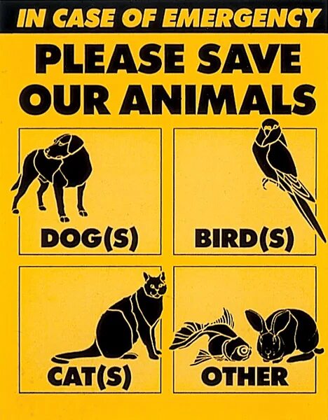 Save our animals. Save save animals. Save our animals. Save our animals. Save our animals.