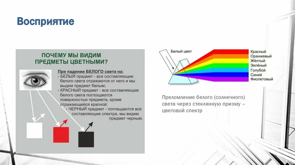 Видит почему через и. Восприятие цвета человеком. Цвета по восприятию. Цветовое восприятие человека. Почему мы видим предметы.