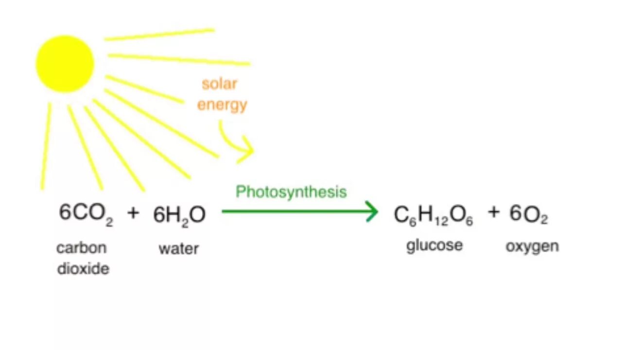 Глюкоза углекислый газ вода. Фотосинтез формула реакции. Формула фотосинтеза углекислого газа. Схема фотосинтеза химическая формула. Уравнение фотосинтеза с АТФ.