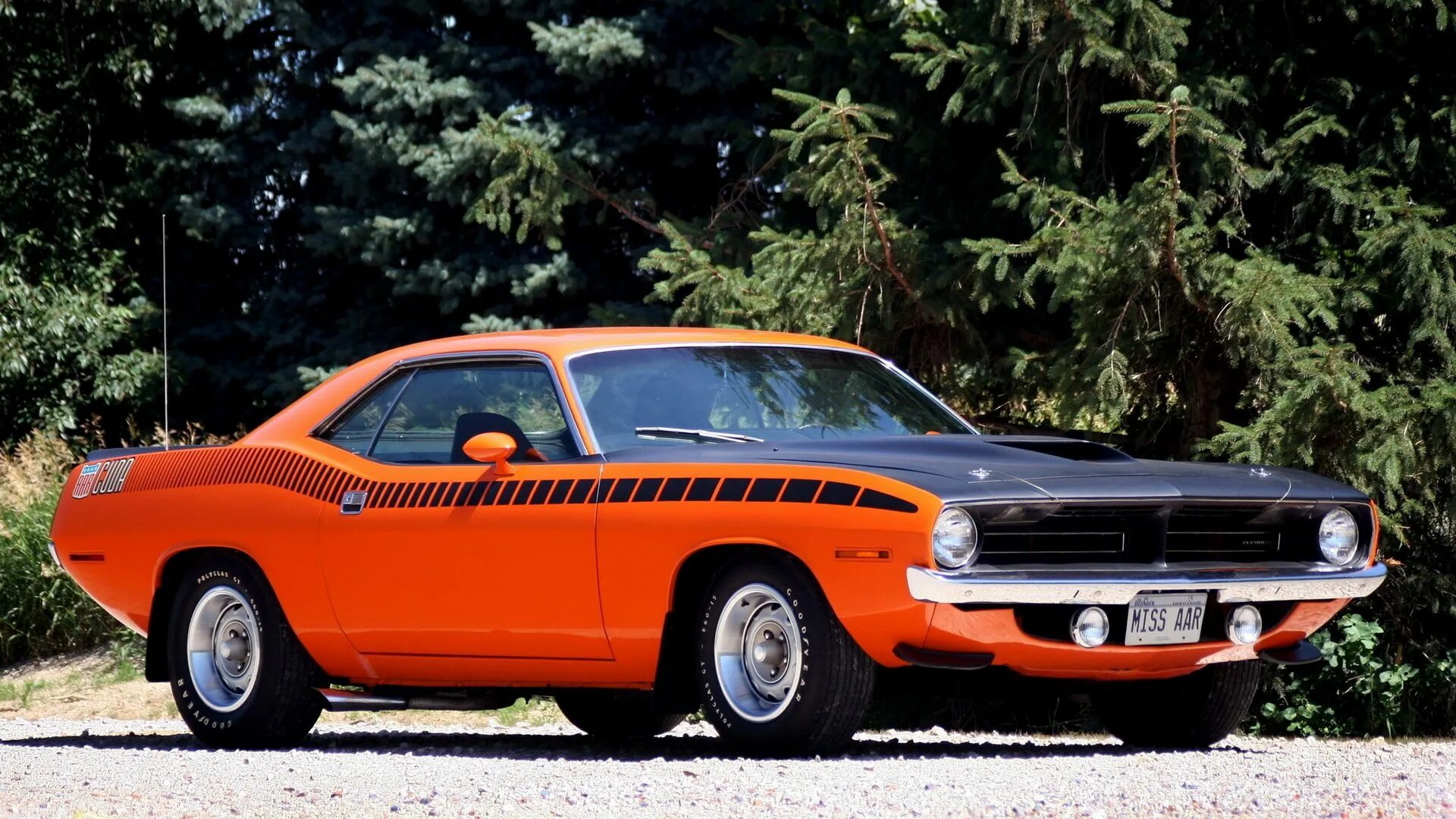 Dodge challenger r/t 1970 and plymouth barracuda. Маслкар plymouth barracuda. Plymouth barracuda 1971 convertible. Шевроле плимут барракуда 1971. Плимут барракуда 1970.