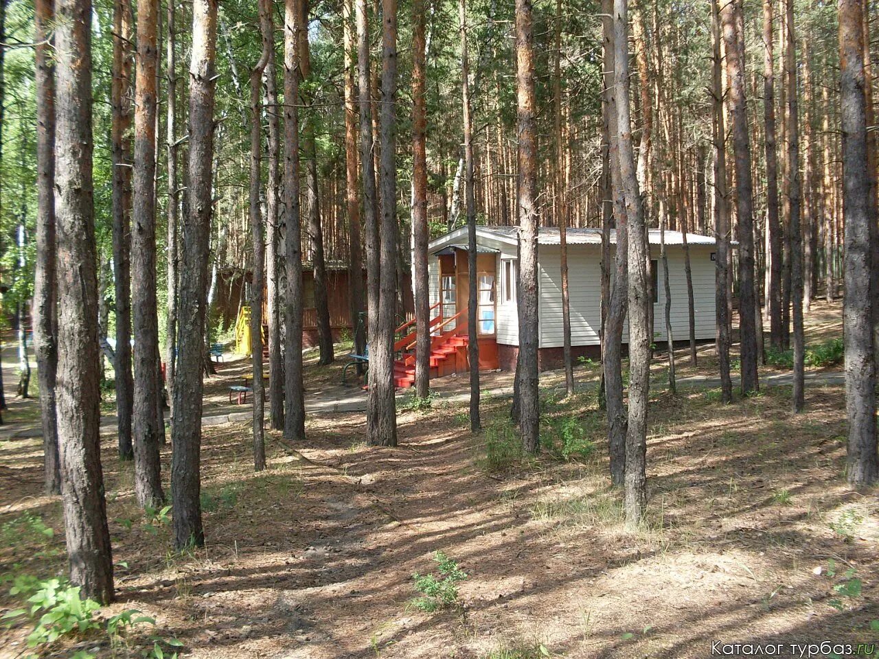 Турбаза тихие зори тольятти. Скандинавия ульяновск турбаза. Заря турбаза шигонский. Сурские зори чебоксары. Турбаза зоря.