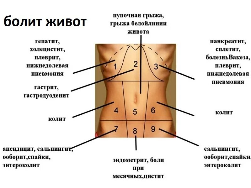 Сильно колит низ живота. Дискомфорт с левой стороны живота. Резь в левой стороне живота. Левый бок снизу болит у женщины. Болит бок справа снизу.