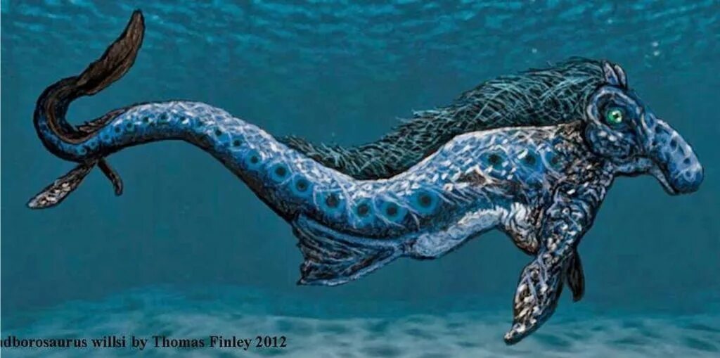 морские обитатели задания. кроссворд рыбы для детей. кроссворд про рыб. кроссворд рыбы для детей. детские морские кроссворды.