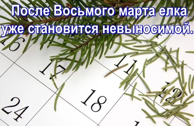 После 8 октября