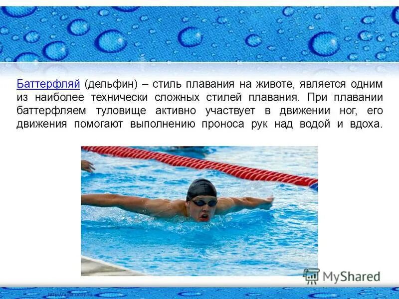 самый скоростной вид плавания. презентация на тему стиль плавания. самый быстрый вид плавания. баттерфляй плавание презентация. самым быстрым стилем плавания считается.