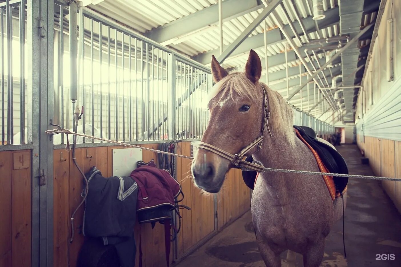 КСК белая лошадь Кадниково. КСК белая лошадь Екатеринбург. Белая лошадь Сысерть.