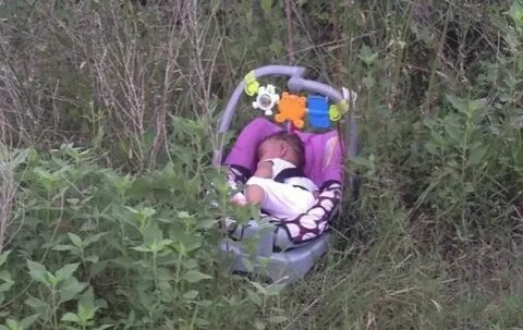Дзен родила и оставила в лесу