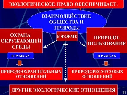 Экологическое право это отрасль