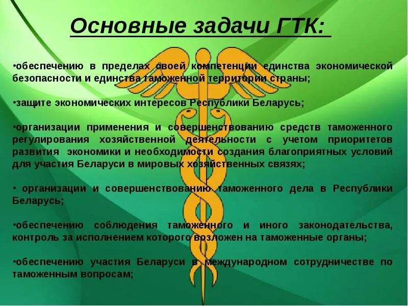 Функции и задачи таможенного. Государственный таможенный комитет структура. Структура ГТК РБ. Функции таможенного комитета. • Государственный таможенный комитет функции.